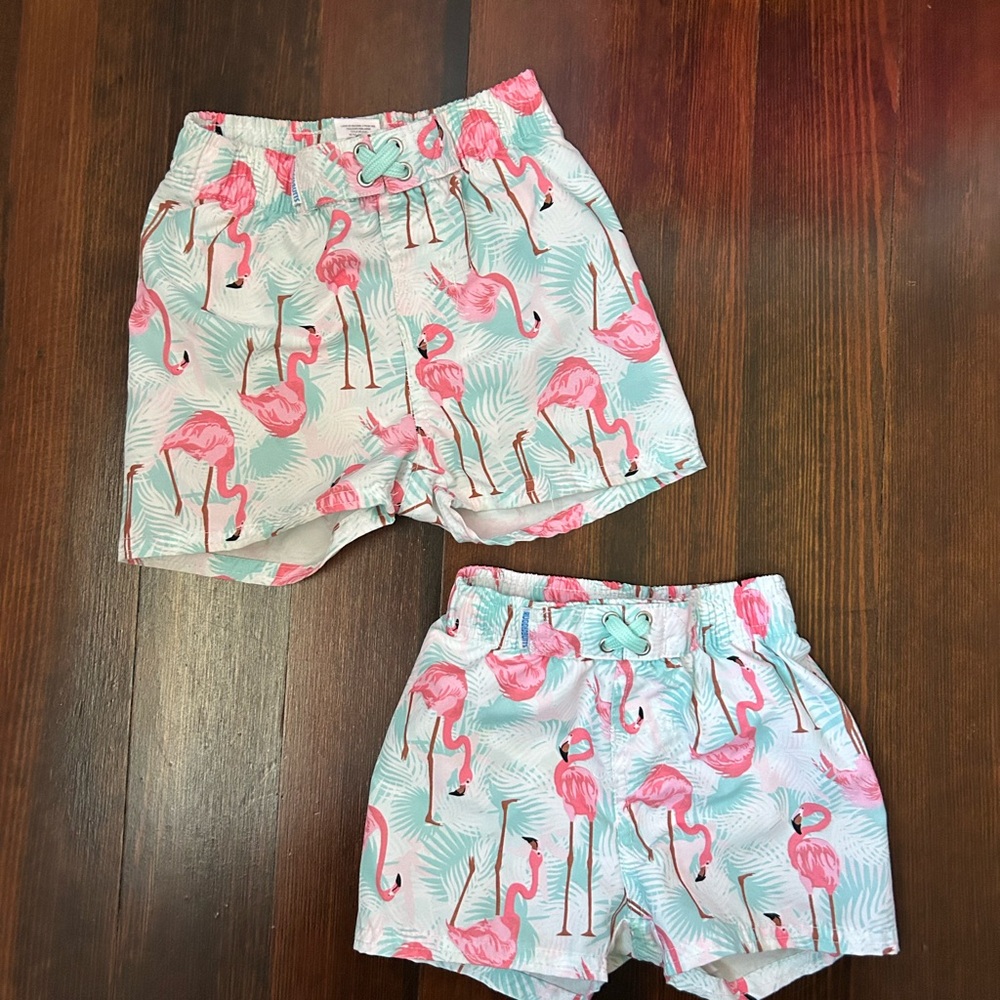 2T AND 12-18mos Flamingo Print Kids Swim Trunks - Picture 4 of 4